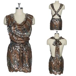 Silver and Bronze Sequins Mini Dress Open Back Size 8 Party Dress Showgirl